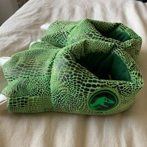 Slippers that light up